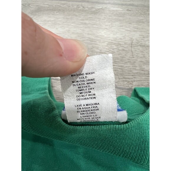 Princess Cruises Single Stitch Shirt | Vintage | Venice Italy Green | Mens Large - Picture 5 of 10